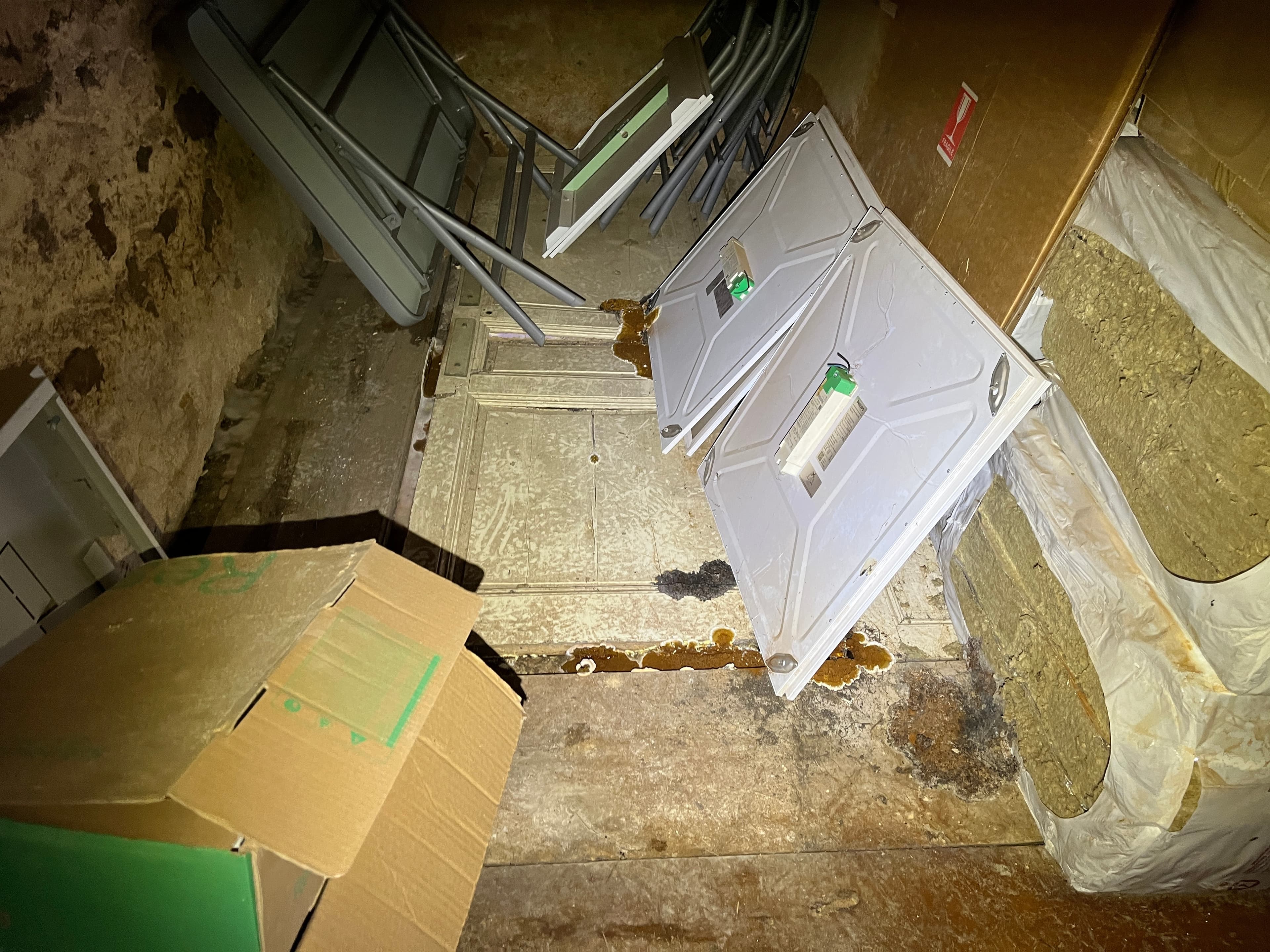Vue generale de la cave infestee par la merule