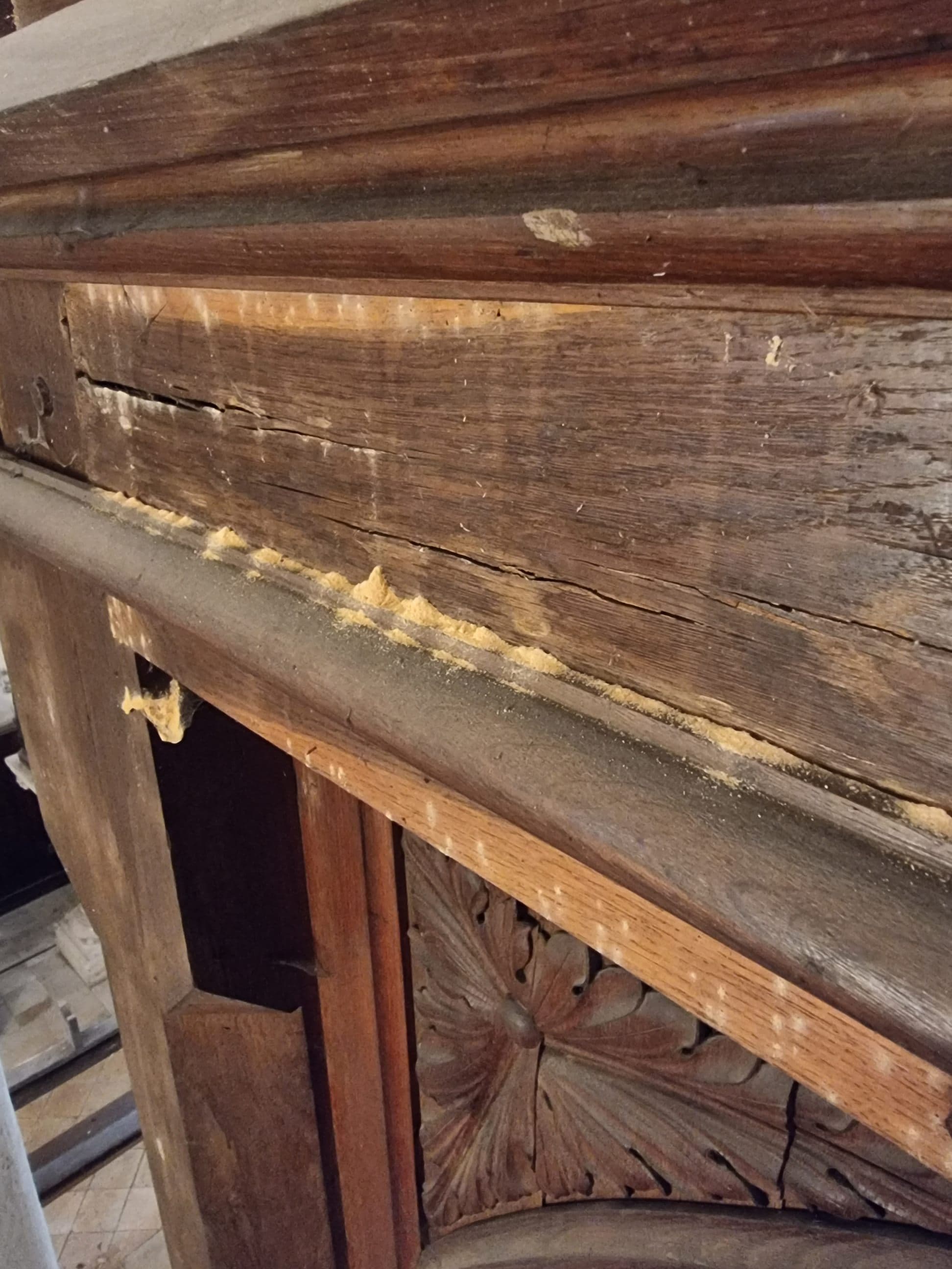 Degats des vrillettes sur l'orgue classe - sciure et trous de sortie