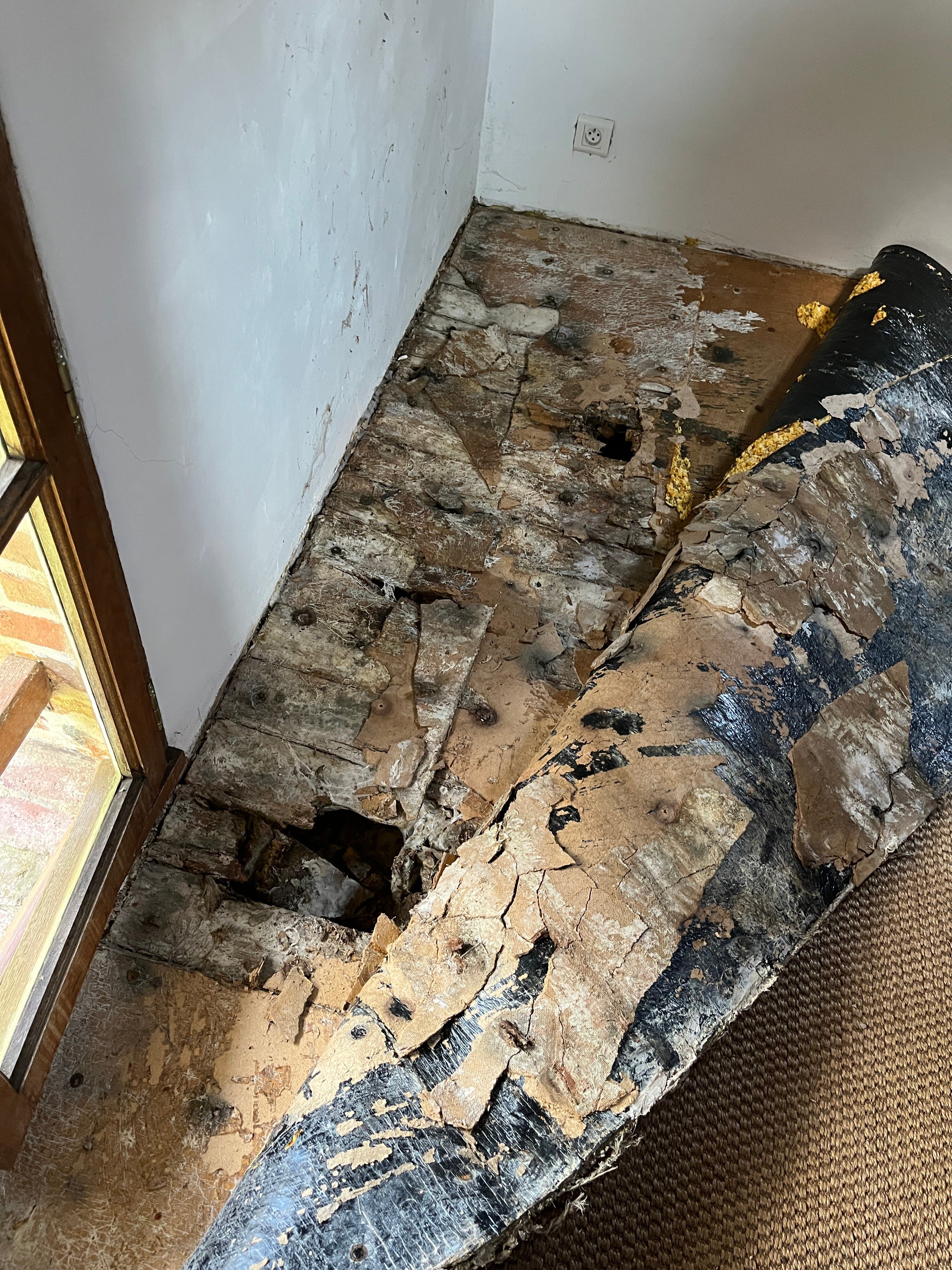 Plancher detruit par la merule - bois decompose